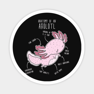 Axolotl Anatomy Magnet